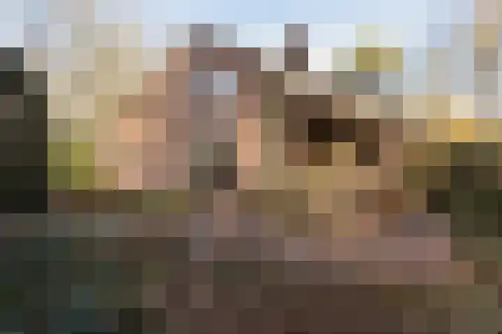 Oude Bovensteweg 6 Molenhoek thumbnail 43