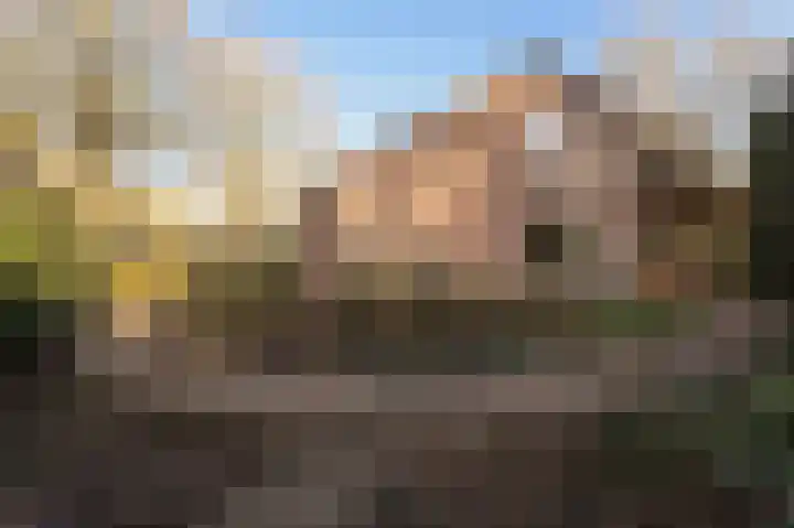 Oude Bovensteweg 6 Molenhoek thumbnail 44