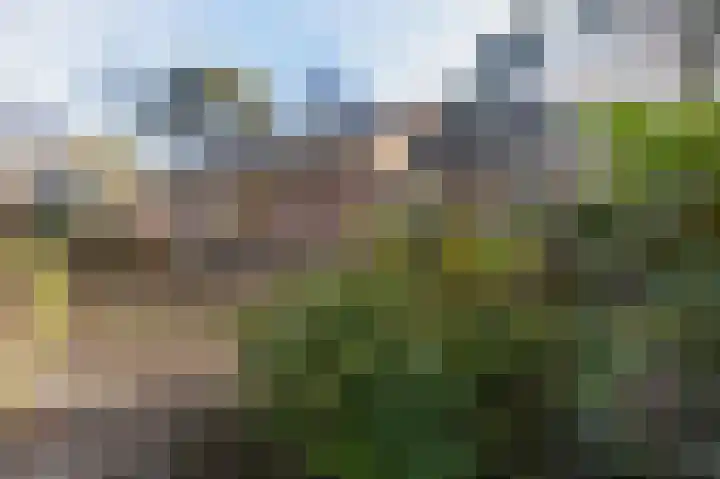 Oude Bovensteweg 6 Molenhoek thumbnail 45