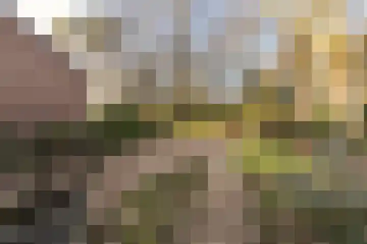 Oude Bovensteweg 6 Molenhoek thumbnail 48