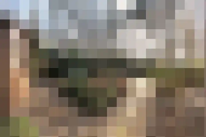 Oude Bovensteweg 6 Molenhoek thumbnail 49