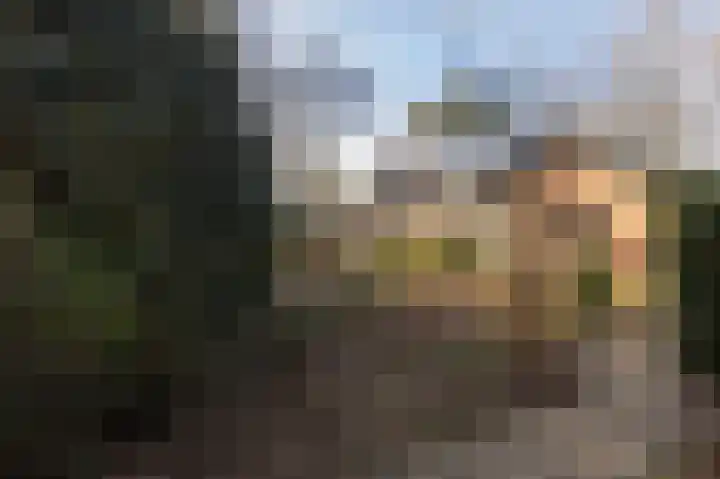 Oude Bovensteweg 6 Molenhoek thumbnail 50