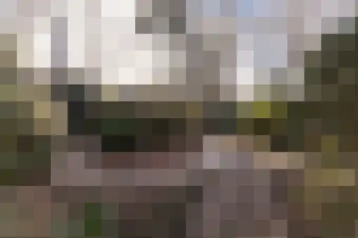 Oude Bovensteweg 6 Molenhoek thumbnail 52
