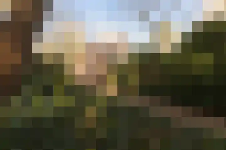 Oude Bovensteweg 6 Molenhoek thumbnail 54