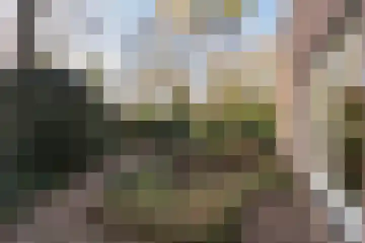 Oude Bovensteweg 6 Molenhoek thumbnail 55