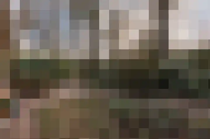 Oude Bovensteweg 6 Molenhoek thumbnail 56