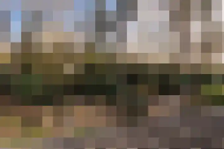Oude Bovensteweg 6 Molenhoek thumbnail 57