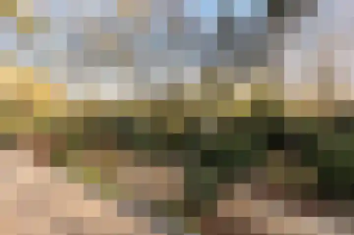 Oude Bovensteweg 6 Molenhoek thumbnail 59