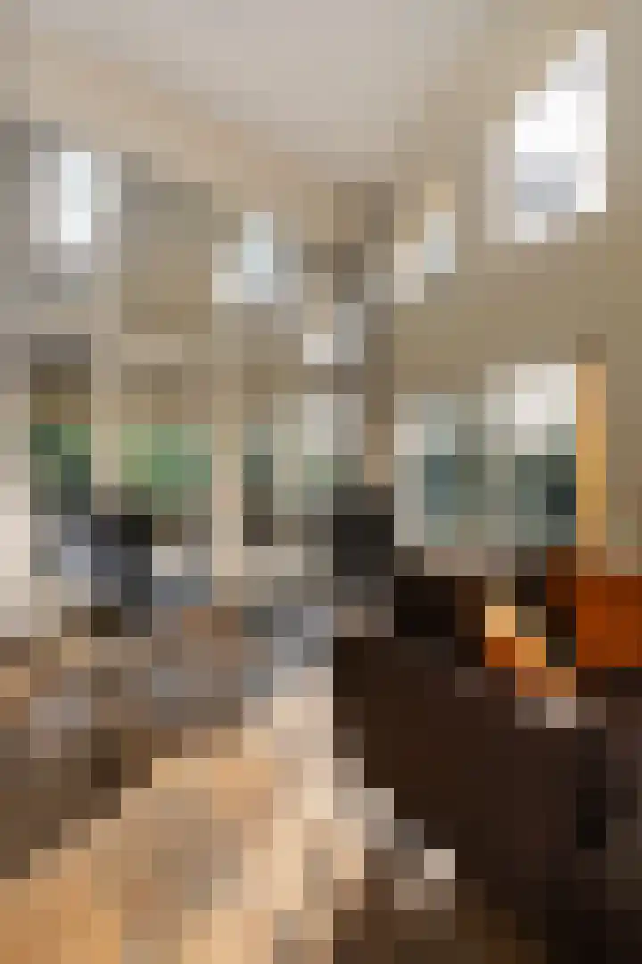 Oude Bovensteweg 6 Molenhoek thumbnail 6