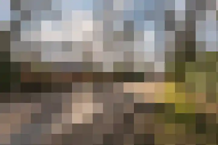 Oude Bovensteweg 6 Molenhoek thumbnail 60