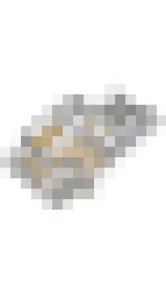 Oude Bovensteweg 6 Molenhoek thumbnail 63