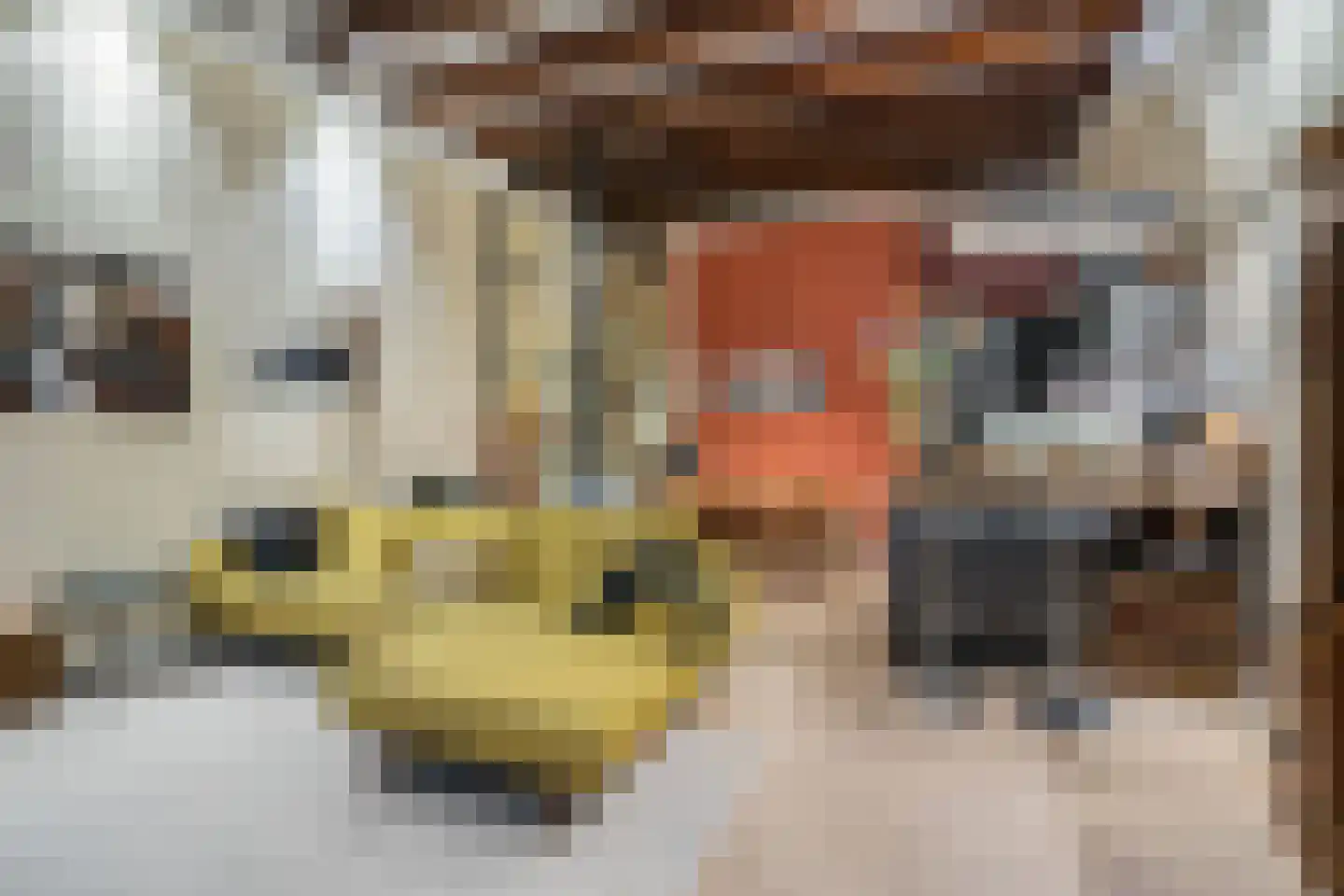 Oude Braak 25 B Amsterdam thumbnail 33