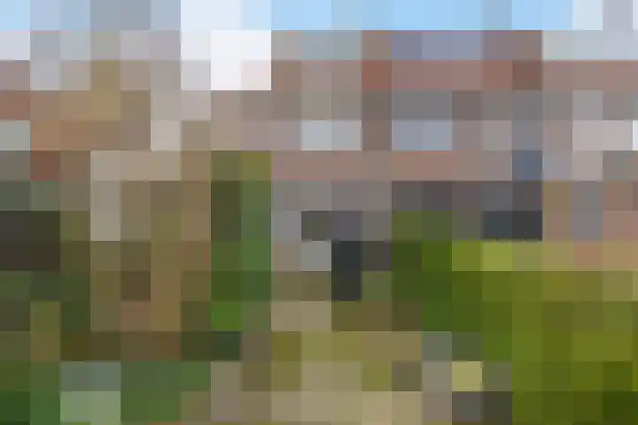 Oude Brandenburgerweg 105 Bilthoven thumbnail 4