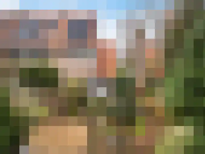 Oude Brandenburgerweg 105 Bilthoven thumbnail 5