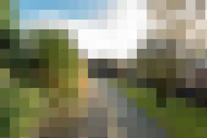 Oude Brandenburgerweg 20 Bilthoven thumbnail 40