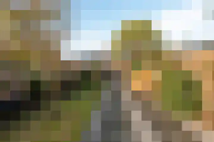 Oude Brandenburgerweg 20 Bilthoven thumbnail 43