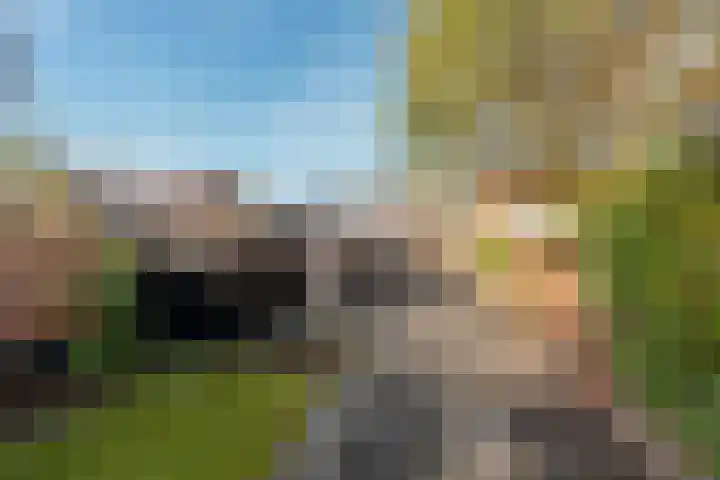Oude Brandenburgerweg 20 Bilthoven thumbnail 44