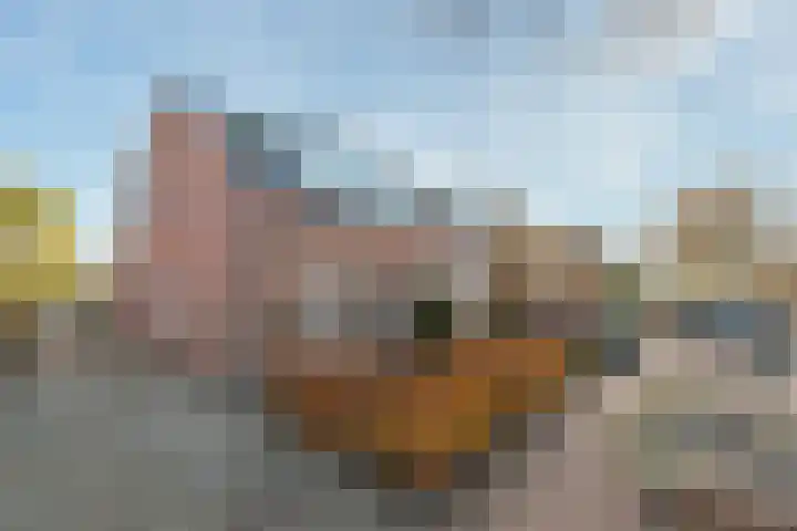 Oude Brandenburgerweg 20 Bilthoven thumbnail 5