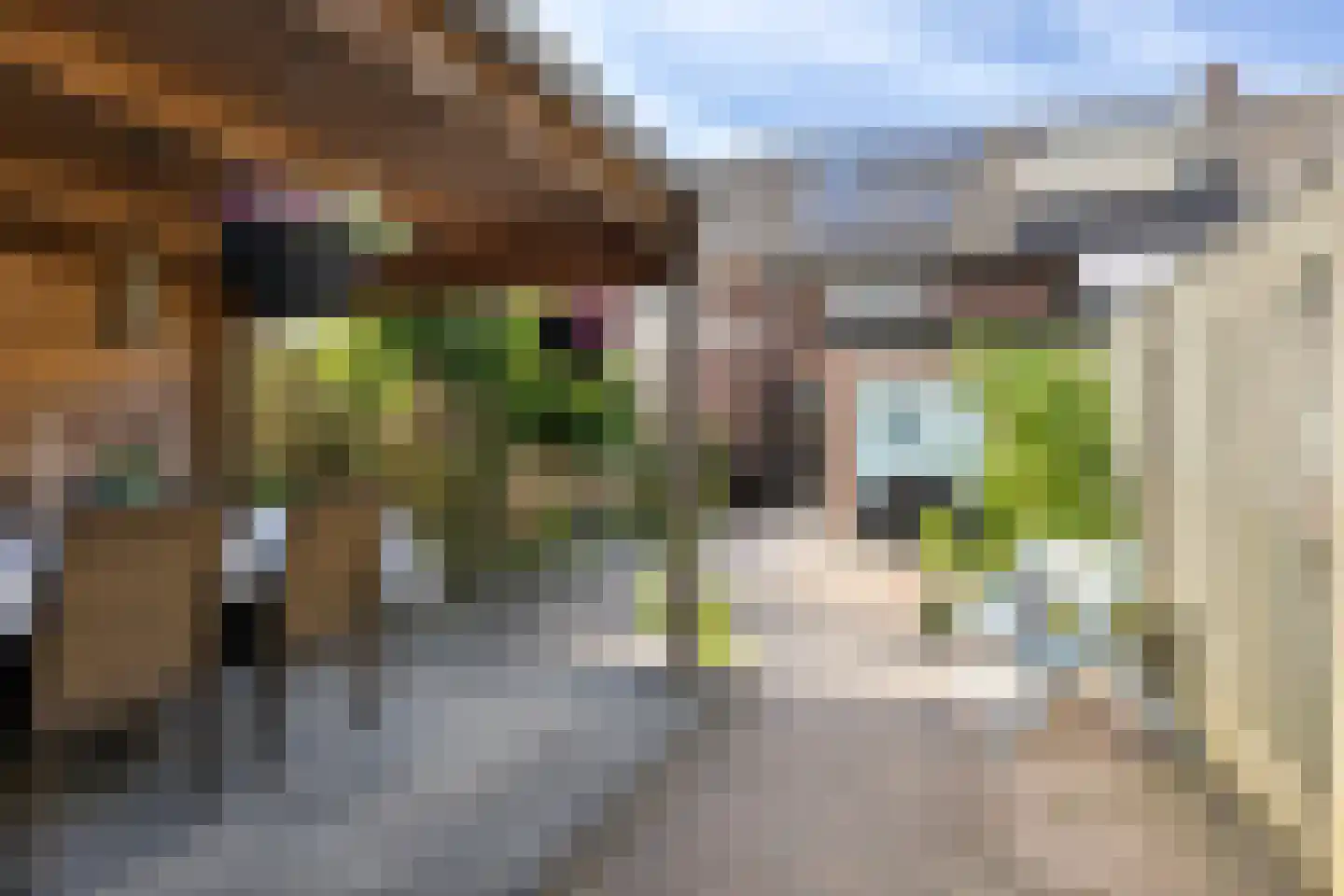 Oude Brandenburgerweg 28 Bilthoven thumbnail 35