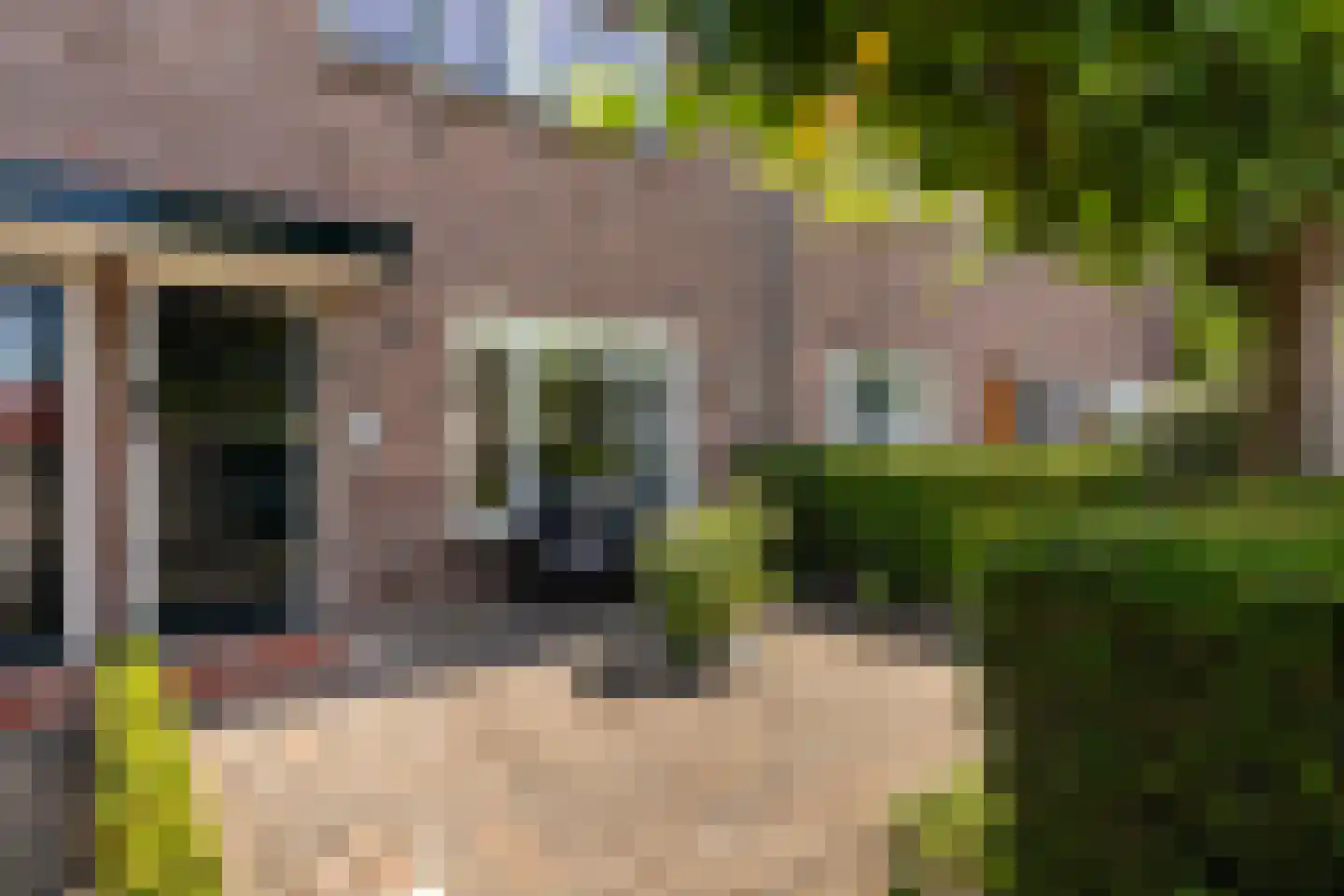 Oude Brandenburgerweg 28 Bilthoven thumbnail 7