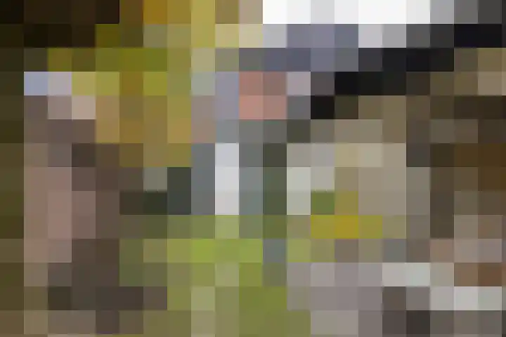 Oude Brandenburgerweg 31 Bilthoven thumbnail 42
