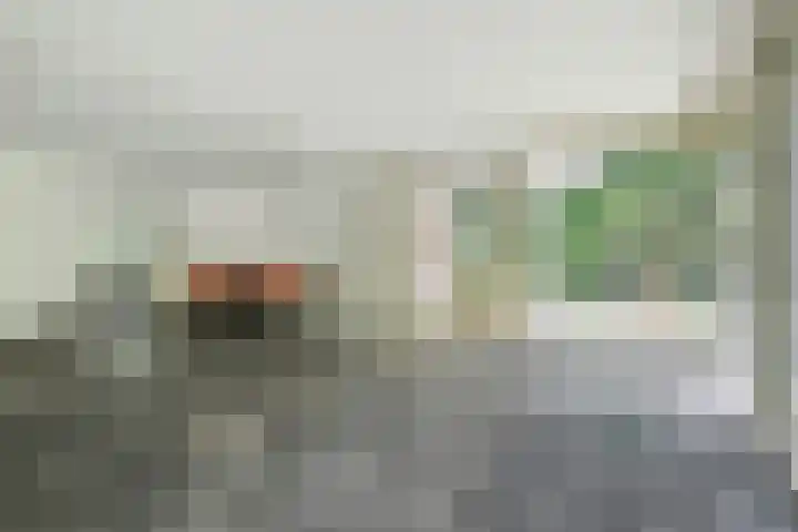 Oude Bredasebaan 17 Baarle-Nassau thumbnail 16