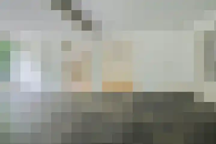 Oude Bredasebaan 17 Baarle-Nassau thumbnail 20
