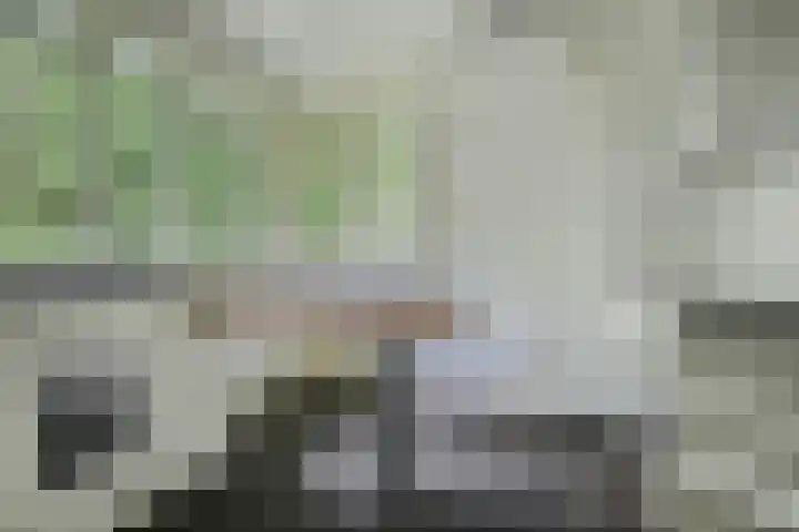 Oude Bredasebaan 17 Baarle-Nassau thumbnail 27