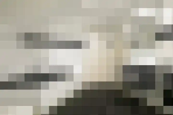 Oude Bredasebaan 17 Baarle-Nassau thumbnail 31