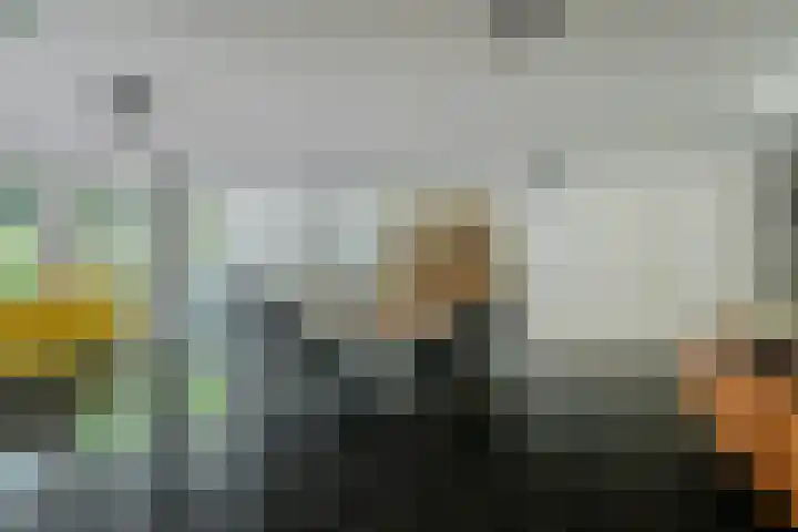 Oude Bredasebaan 17 Baarle-Nassau thumbnail 34