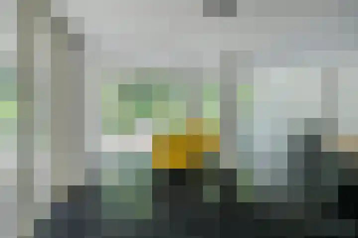 Oude Bredasebaan 17 Baarle-Nassau thumbnail 35
