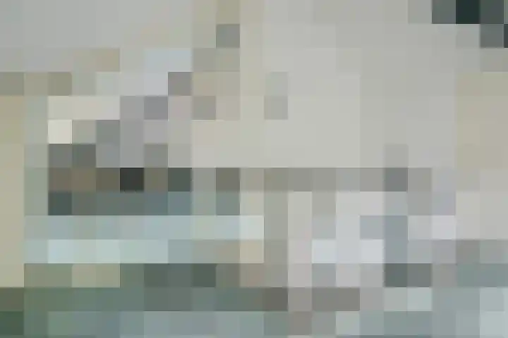 Oude Bredasebaan 17 Baarle-Nassau thumbnail 44