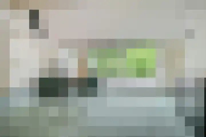 Oude Bredasebaan 17 Baarle-Nassau thumbnail 45