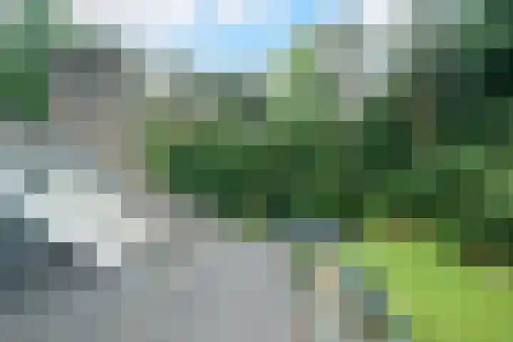 Oude Bredasebaan 17 Baarle-Nassau thumbnail 46