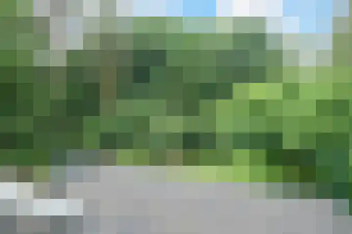 Oude Bredasebaan 17 Baarle-Nassau thumbnail 47