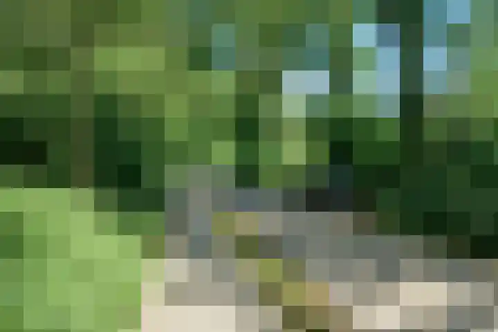 Oude Bredasebaan 17 Baarle-Nassau thumbnail 63