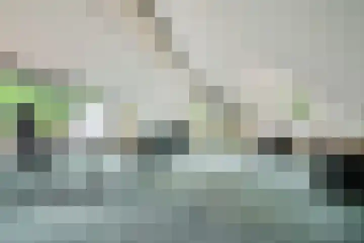 Oude Bredasebaan 17 Baarle-Nassau thumbnail 7
