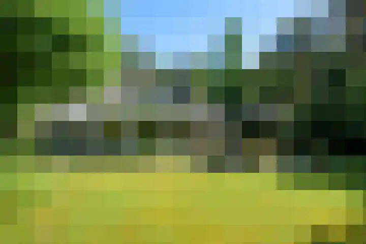 Oude Bredasebaan 17 Baarle-Nassau thumbnail 8