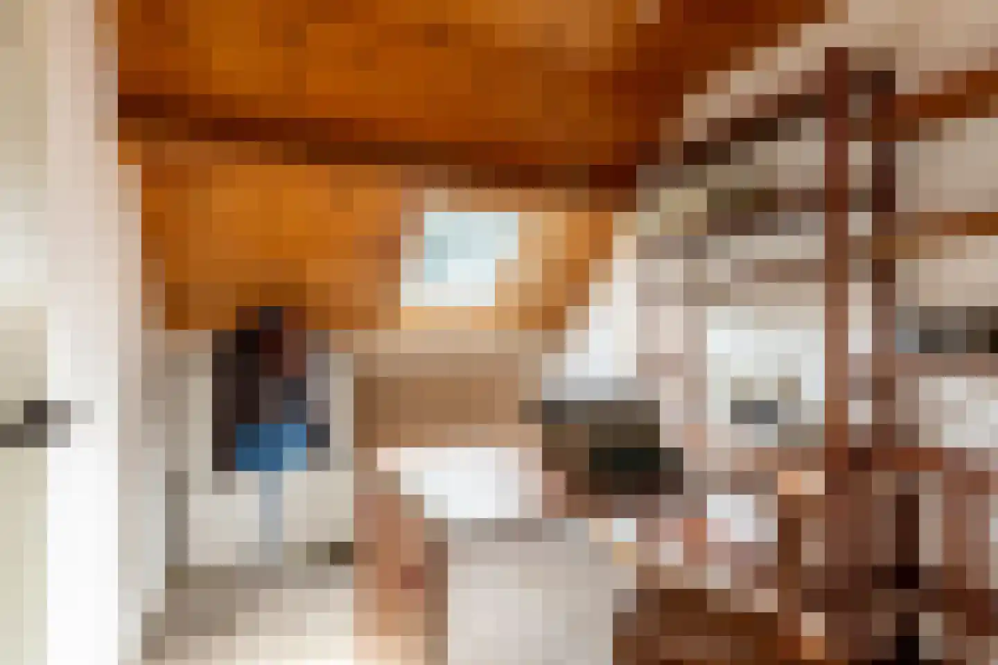 Oude Bredasepostbaan 15 Hoeven thumbnail 22