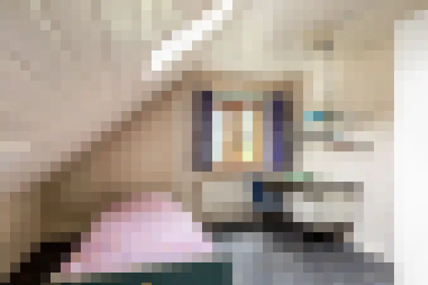 Oude Bredasepostbaan 15 Hoeven thumbnail 23