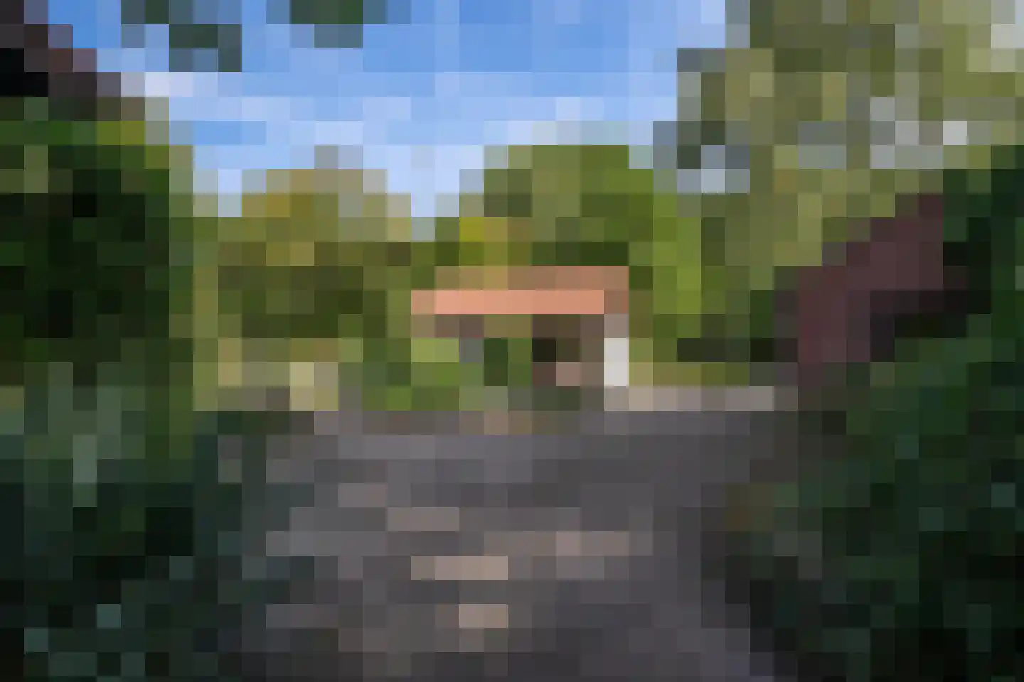 Oude Bredasepostbaan 15 Hoeven thumbnail 29