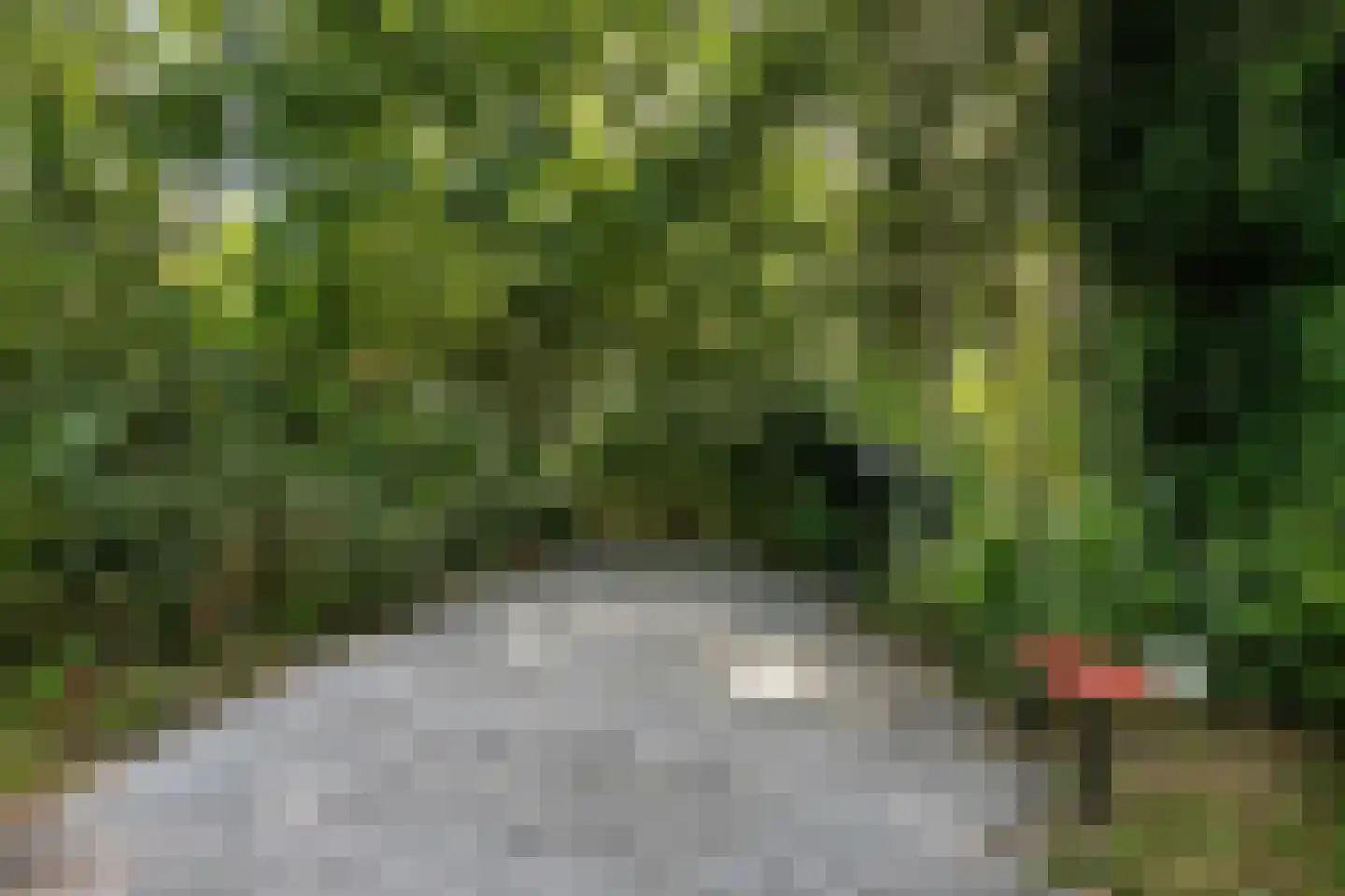 Oude Bredasepostbaan 15 Hoeven thumbnail 33