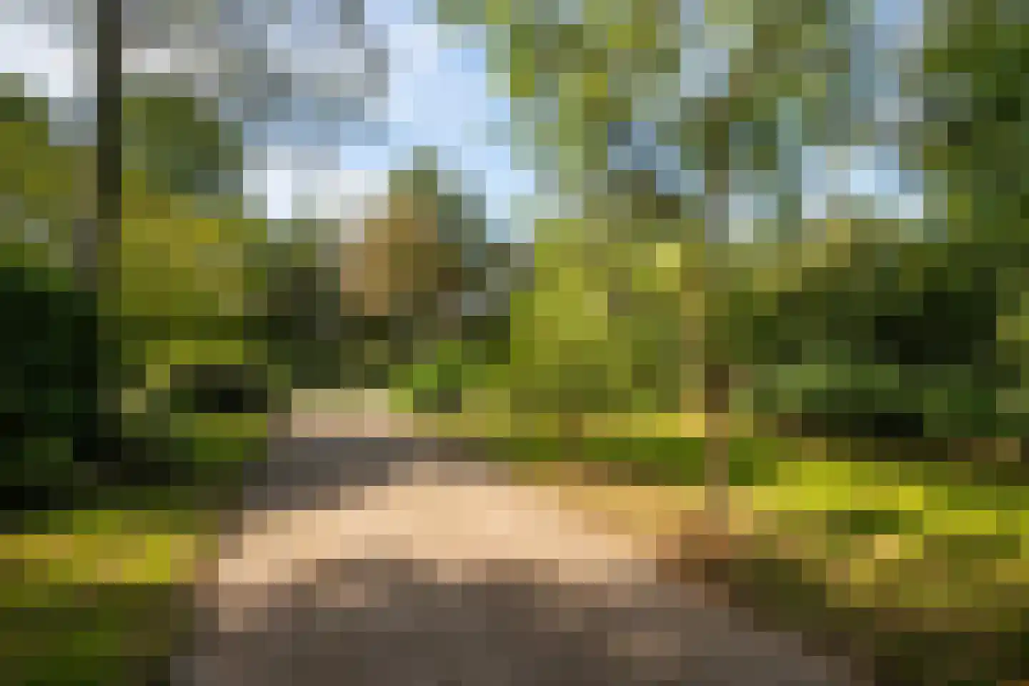 Oude Bredasepostbaan 15 Hoeven thumbnail 34
