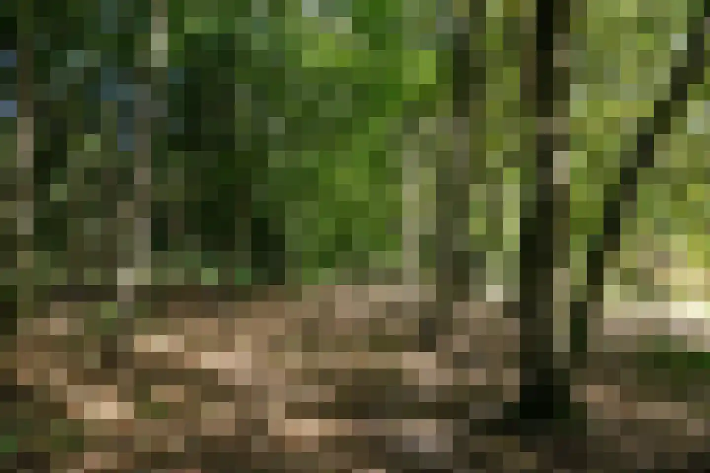 Oude Bredasepostbaan 15 Hoeven thumbnail 35