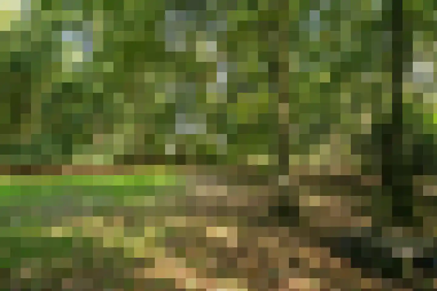 Oude Bredasepostbaan 15 Hoeven thumbnail 36