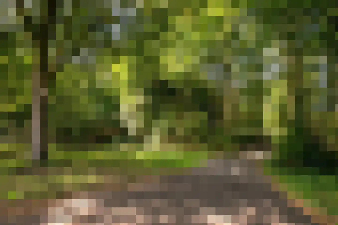 Oude Bredasepostbaan 15 Hoeven thumbnail 37