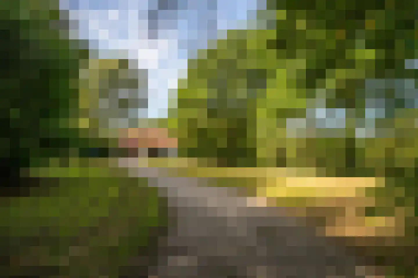 Oude Bredasepostbaan 15 Hoeven thumbnail 38