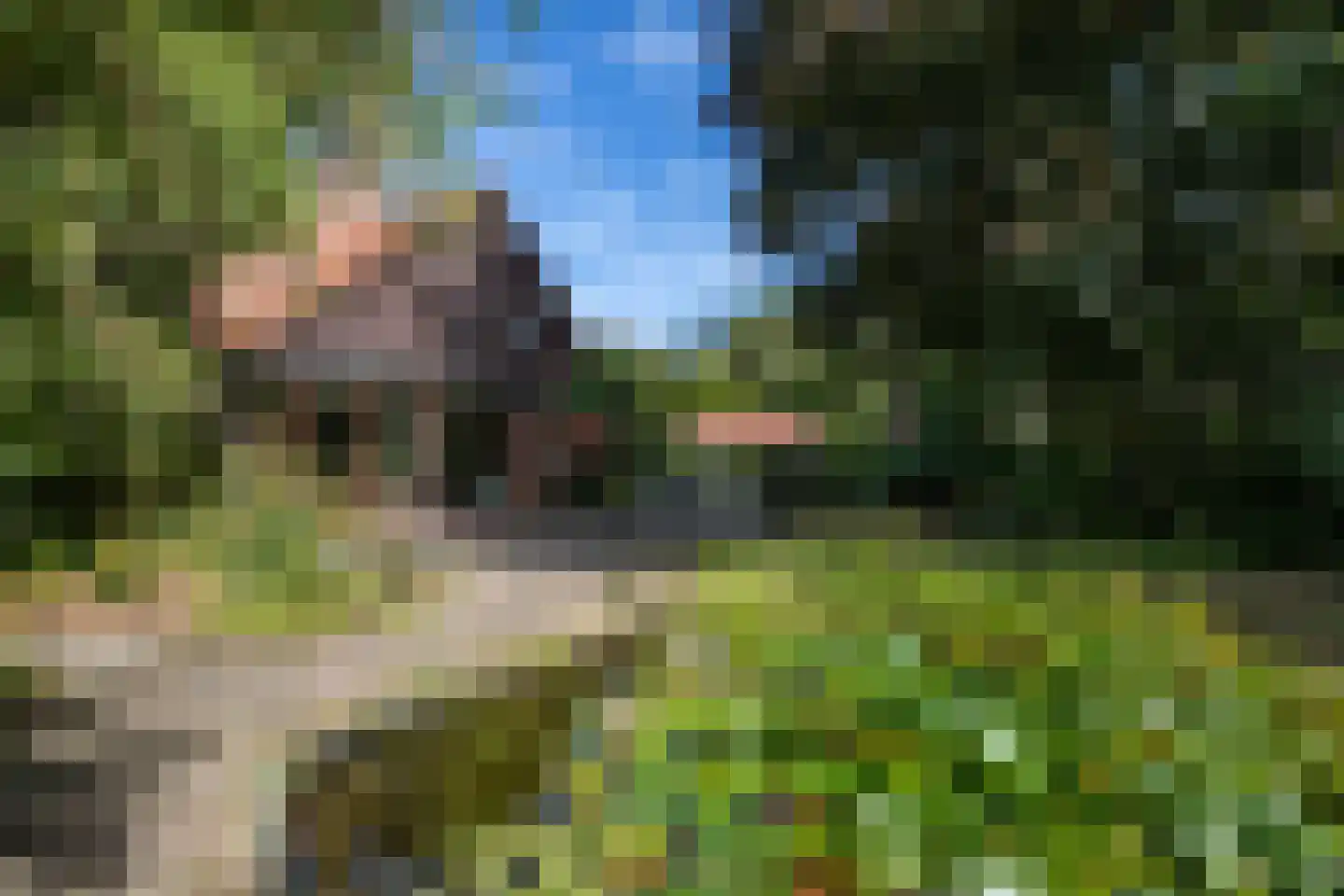 Oude Bredasepostbaan 15 Hoeven thumbnail 8