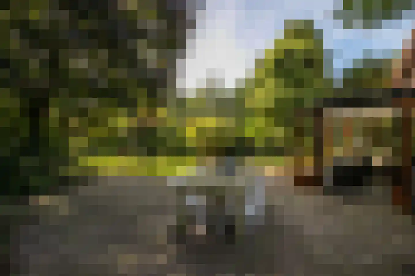 Oude Bredasepostbaan 15 Hoeven thumbnail 9