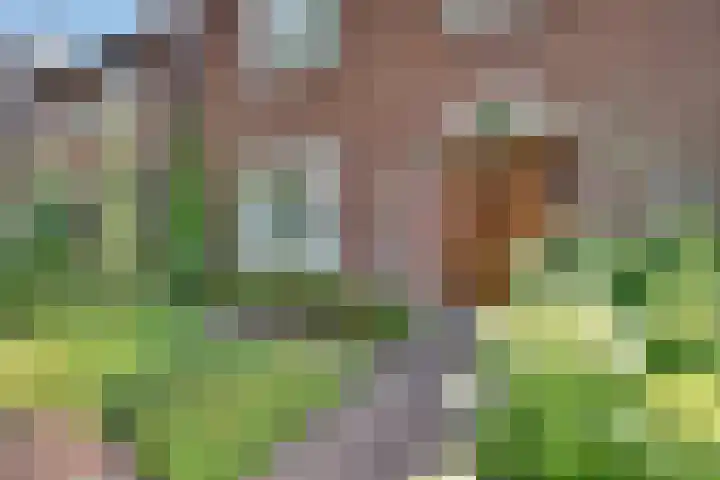 Oude Bredaseweg 116 Etten-Leur thumbnail 5